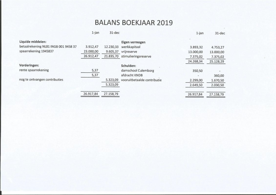 2020 balans 2019.pdf (pagina 1)